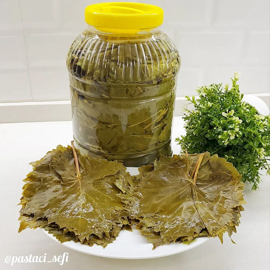 Salamura Üzüm Yaprağı Tarifi
