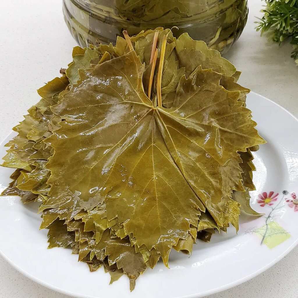 Salamura Üzüm Yaprağı Tarifi
