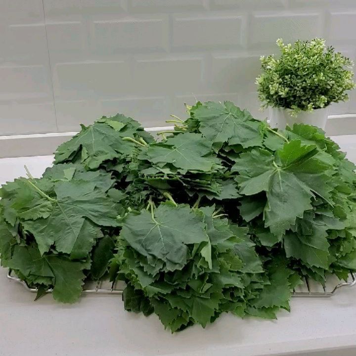 Salamura Üzüm Yaprağı Tarifi