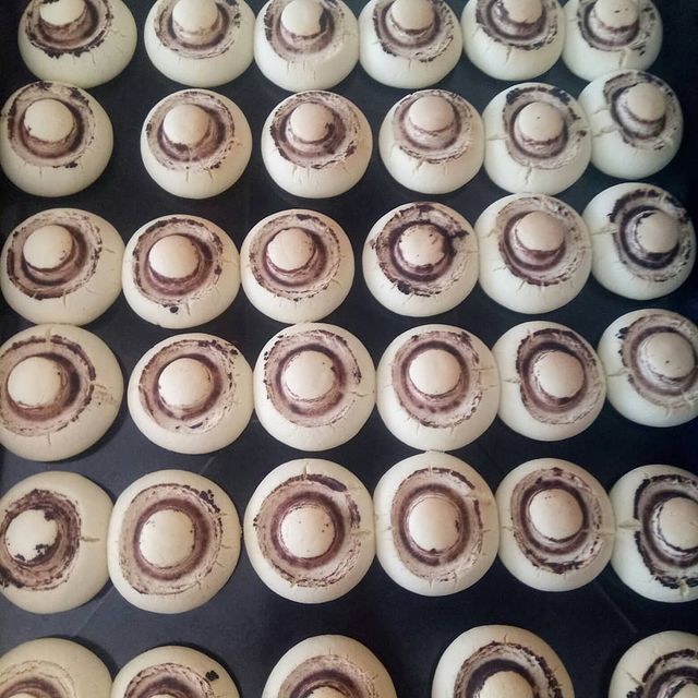 Mantar Kurabiye Tarifi